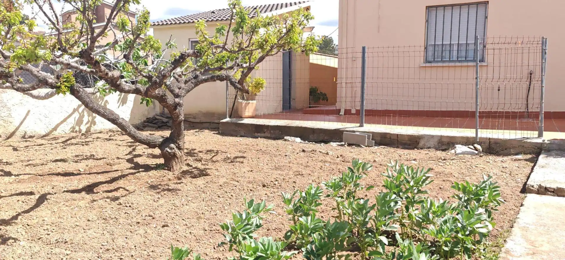 Houses for sale in La Bisbal del Penedès