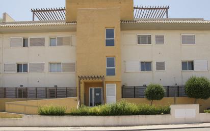 Vista exterior de Apartament en venda en Fuente Álamo de Murcia amb Jardí privat, Terrassa i Traster