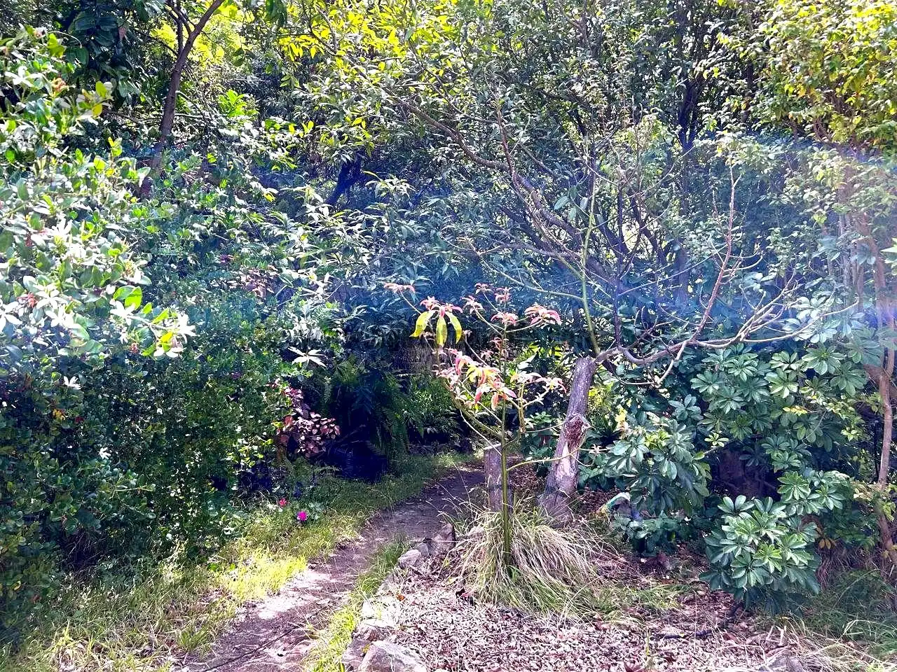 Finca rústica en venta en Vallehermoso con Aire acondicionado, Calefacción y Jardín privado