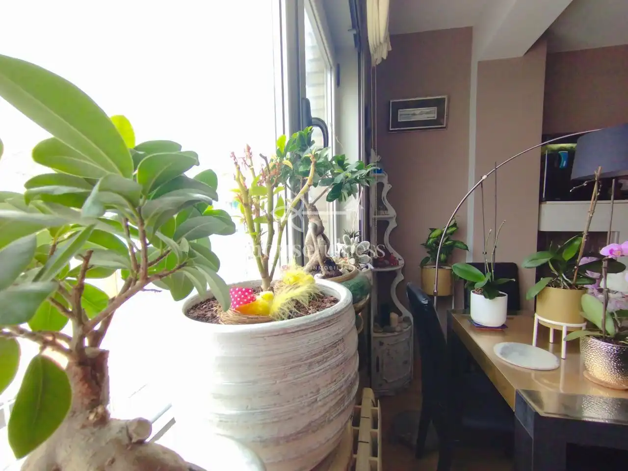Terrasse von Wohnung zum Verkauf in Ferrol mit Heizung, Abstellraum und Möbliert