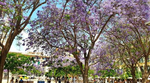 Photo 4 of Buildings for sale in La Victoria, Málaga Capital