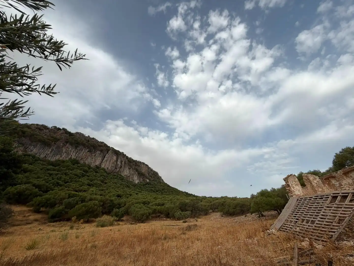Rural land for sale in Morón de la Frontera, imagen 17