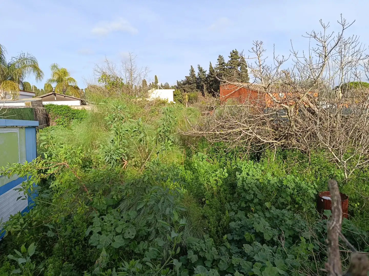 Rural land for sale in Carretera el Portal 21, imagen 3