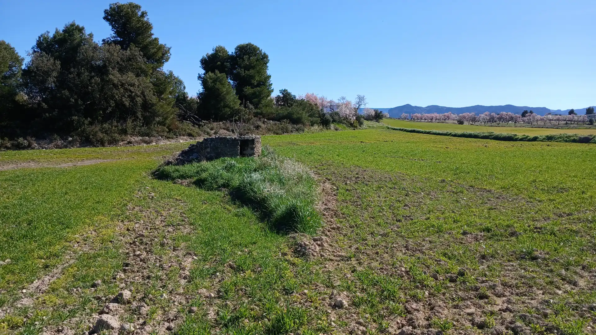 Terreni e lotti in vendita a Valderrobres, imagen 13