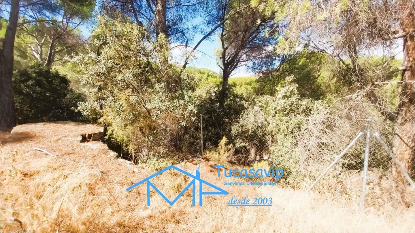 Casa en venda a San Martín de Valdeiglesias, imagen 40