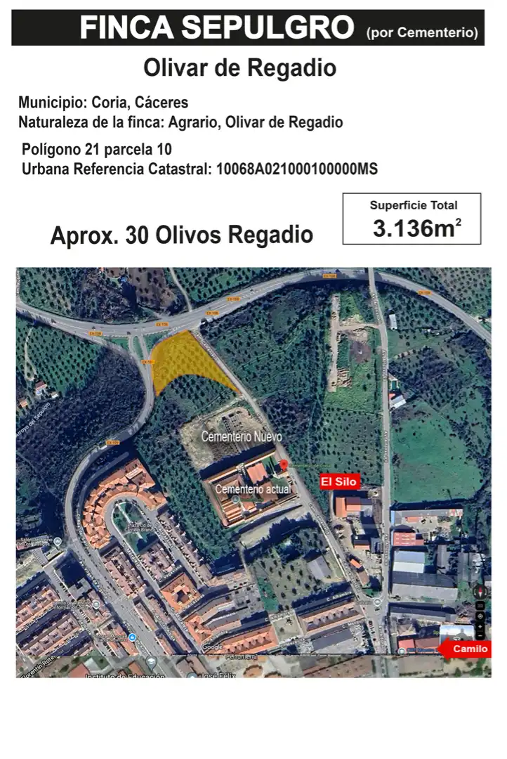 Terreni e lotti in vendita a Calle Idanha Nova, imagen 3