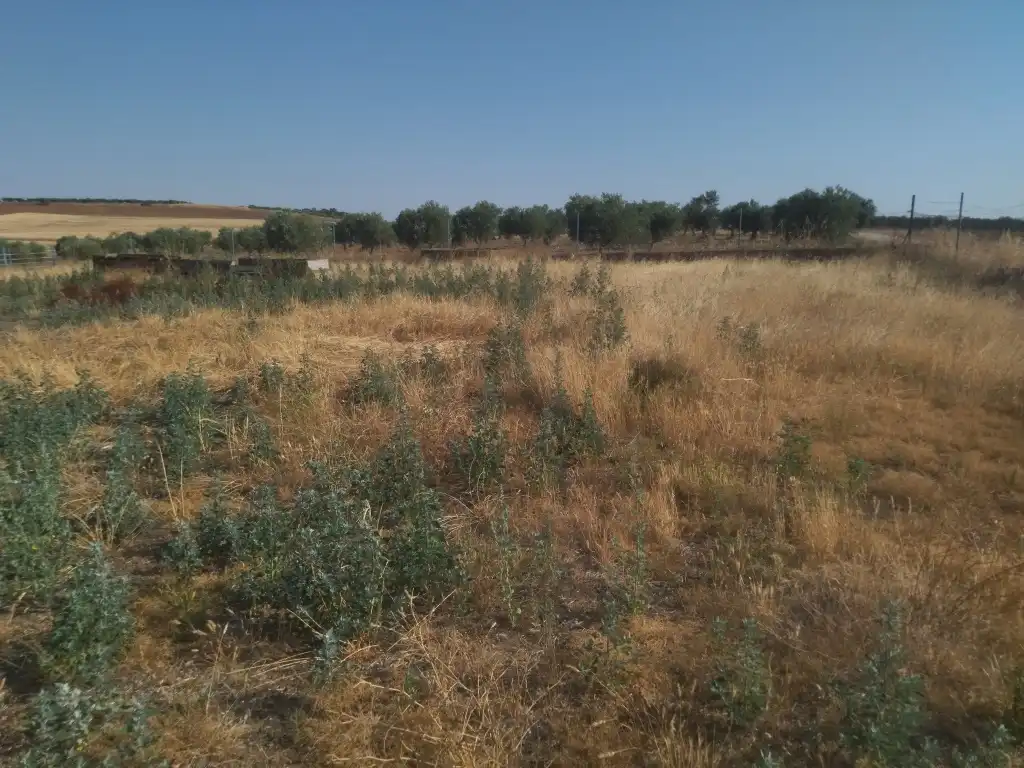Terreni e lotti in vendita a La Haba, imagen 17