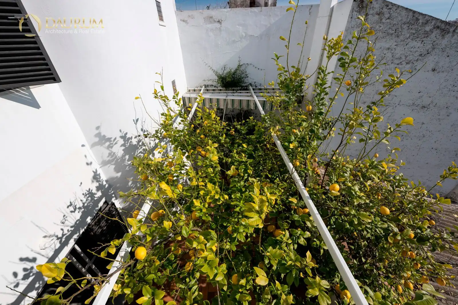 Terrassa de Casa o xalet en venda en Alcalá de Guadaira amb Aire condicionat, Calefacció i Terrassa