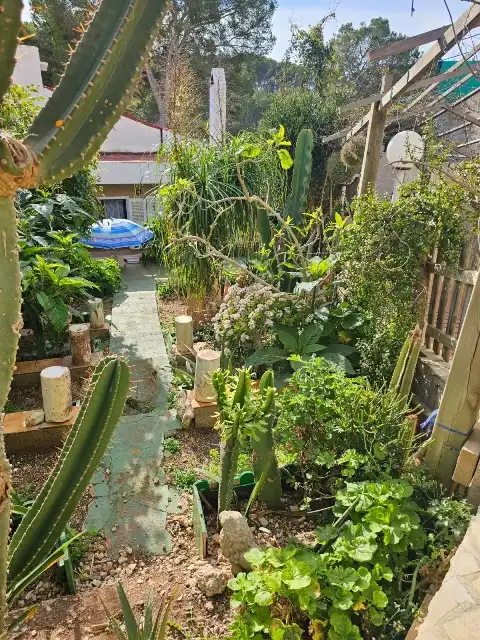 Jardí de Apartament en venda en Ciutadella de Menorca amb Jardí privat i Terrassa