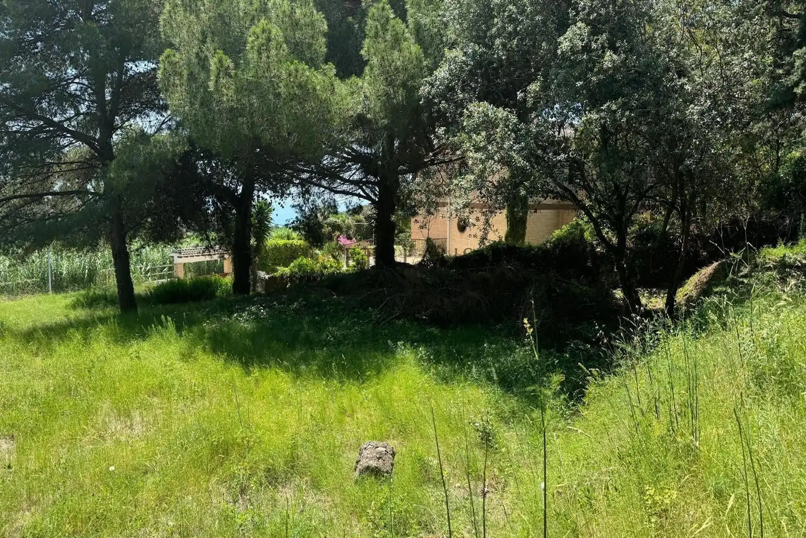 Terreny rústic en venda a Cabrera de Mar, imagen 6