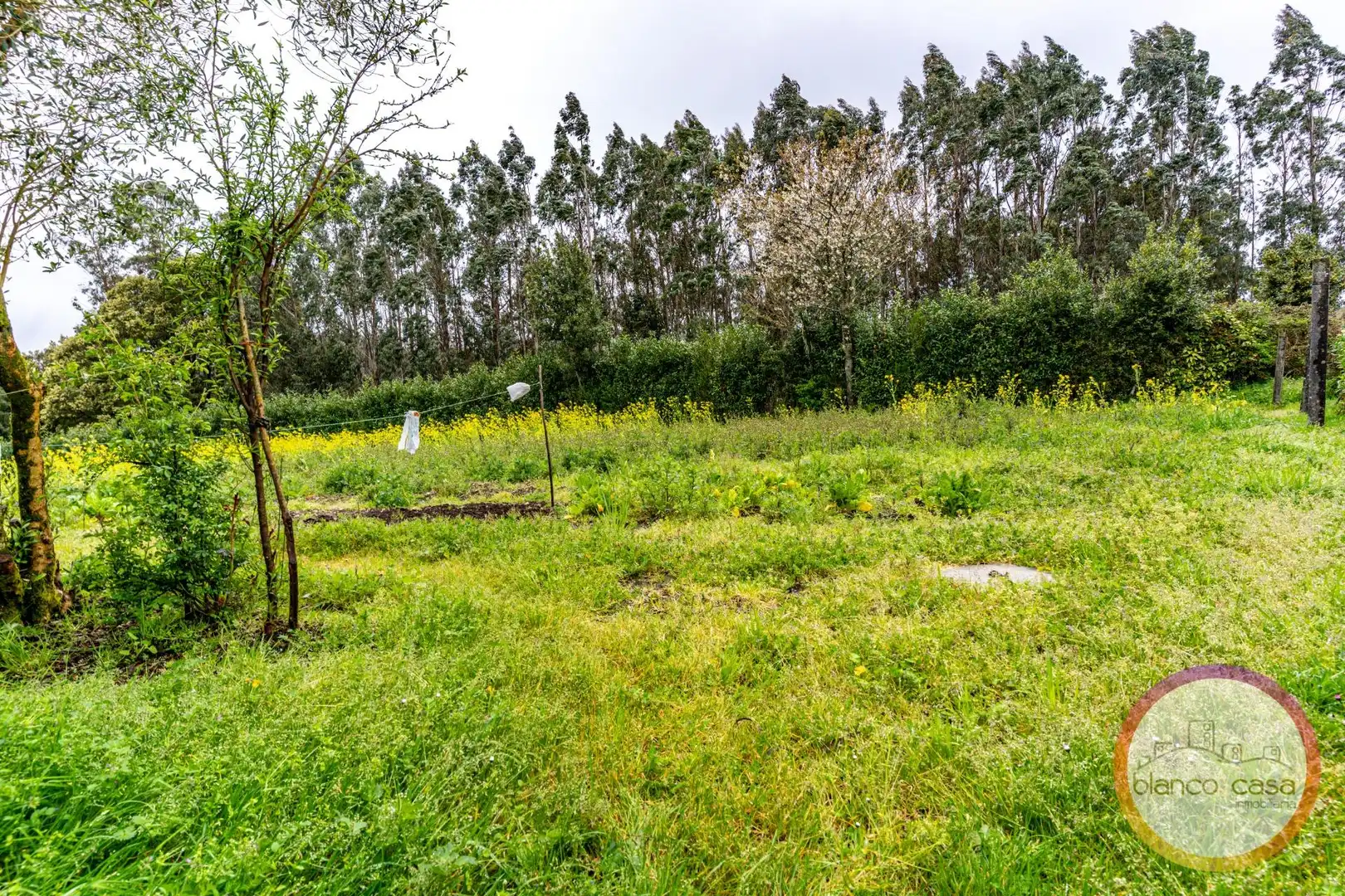 Casa o chalet en venta en Santa Comba con Trastero