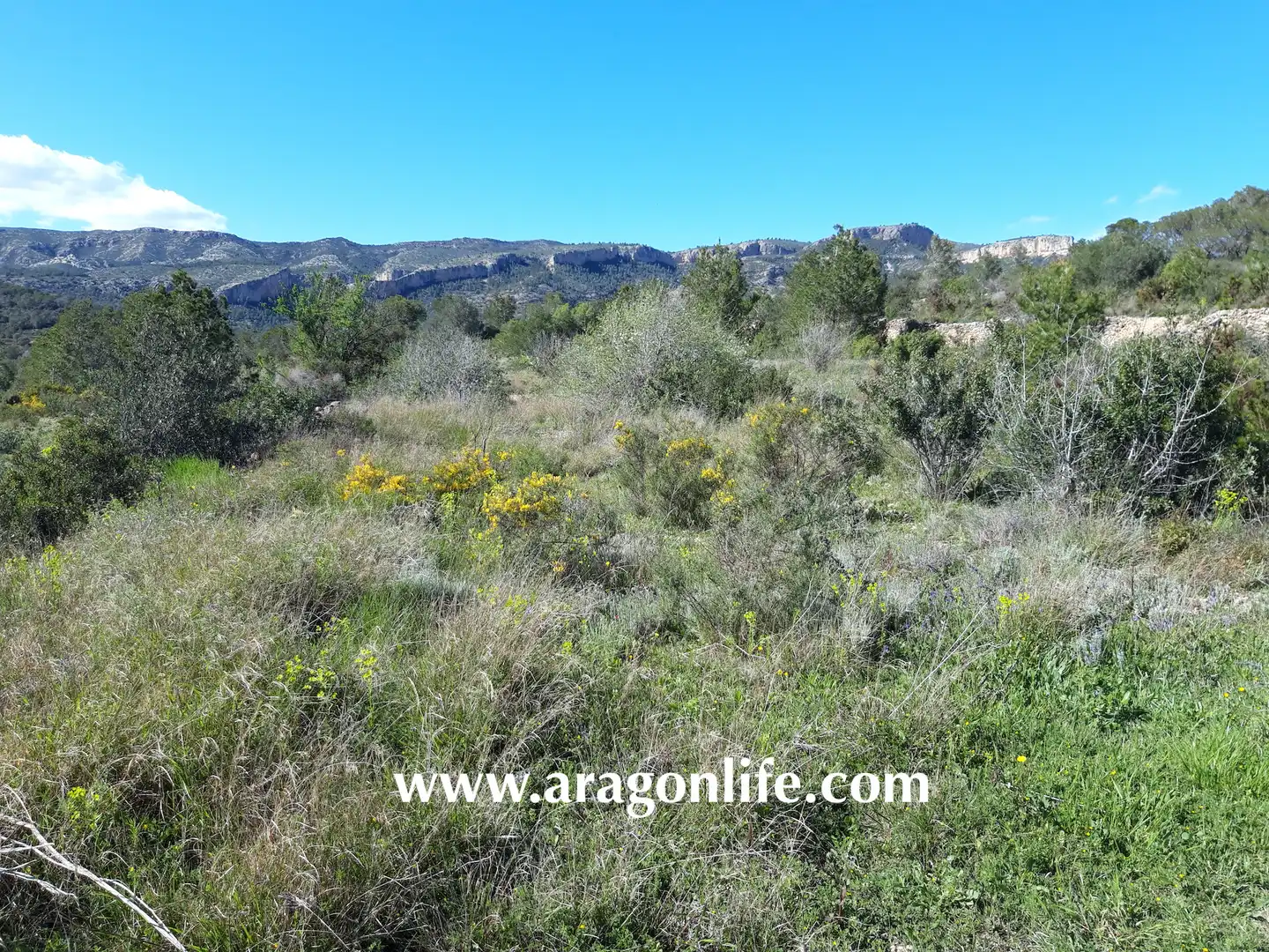 Rural land for sale in C-43, imagen 4