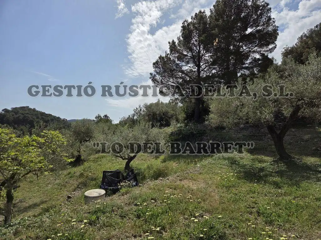 Country homes for sale in Tortosa  with Private garden and Terrace