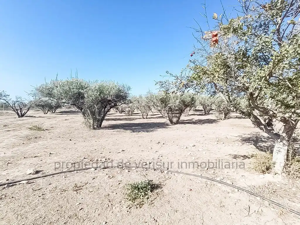 Country homes for sale in Lorca