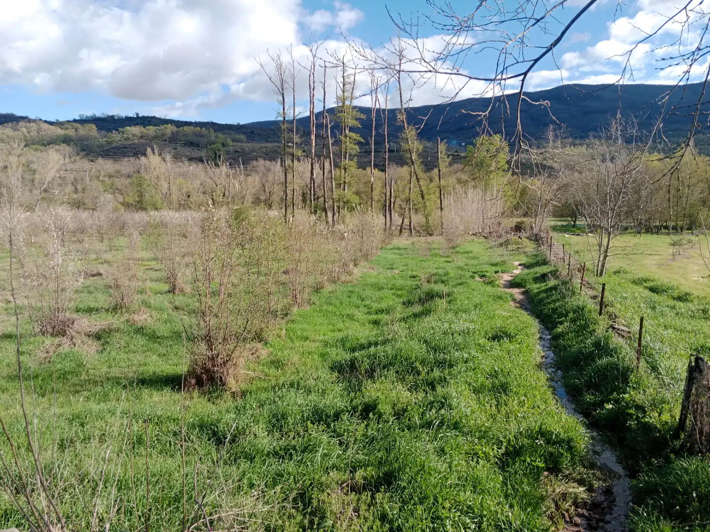 Terreno en venta en El Torno 