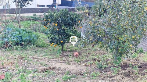 Foto 3 de Casa o xalet en venda a Rocaferrera, Sant Andreu de Llavaneres