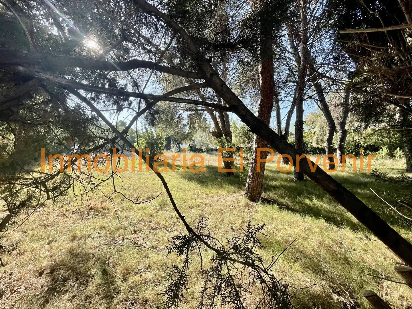 Residential land for sale in El Vedat - Santa Apolonia, imagen 5