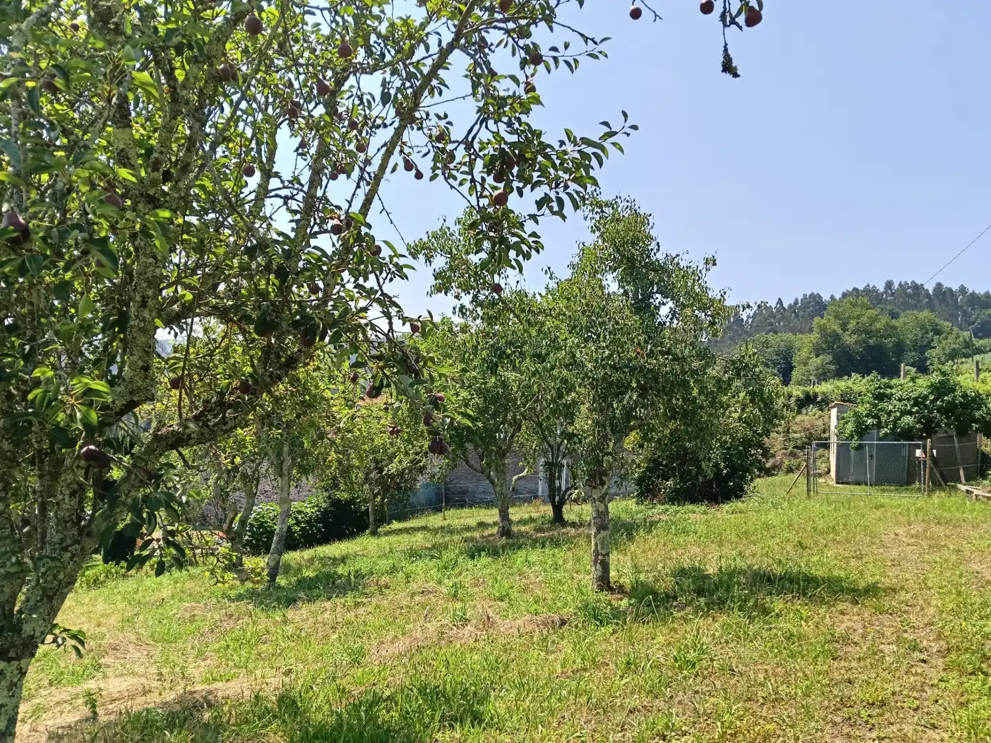 Adossat amb jardí en venda a Cesuras, imagen 19