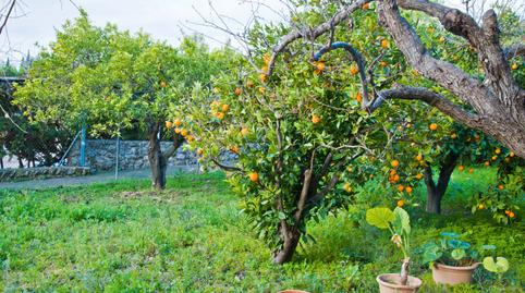 Photo 3 of House or chalet for sale in Carretera D'esporles, Establiments, Illes Balears