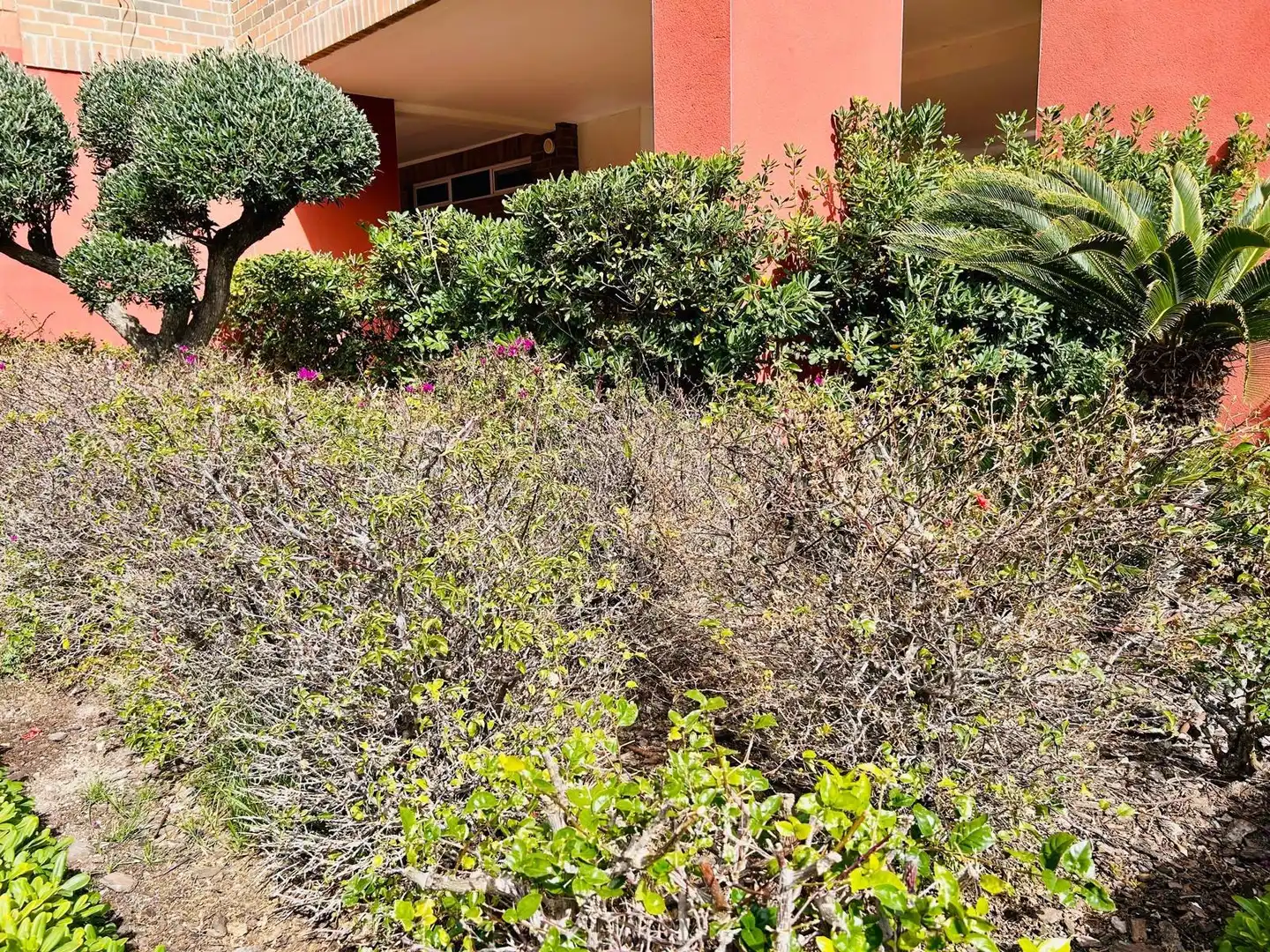 Pis en venda en Alicante / Alacant amb Aire condicionat, Jardí privat i Moblat