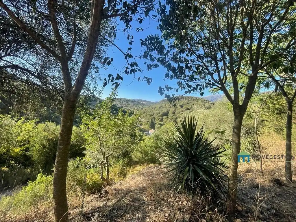 Vista exterior de Finca rústica en venta en Benaocaz con Jardín privado, Terraza y Trastero