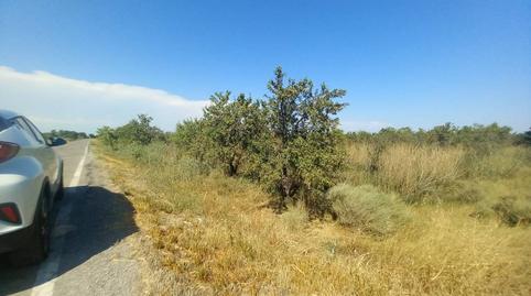 Foto 2 de Terreno en venta en Diseminados, Alcolea de Cinca, Huesca