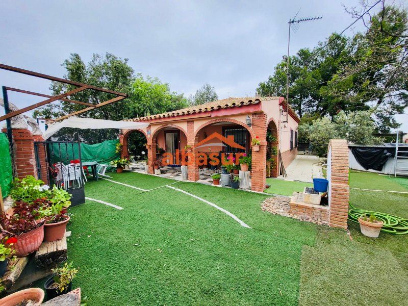 Garden of House or chalet for sale in La Carlota  with Air Conditioner, Private garden and Swimming Pool