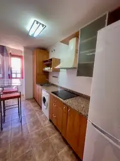 Kitchen of Apartments for rent in León Capital   with Heating, Parquet flooring and Furnished