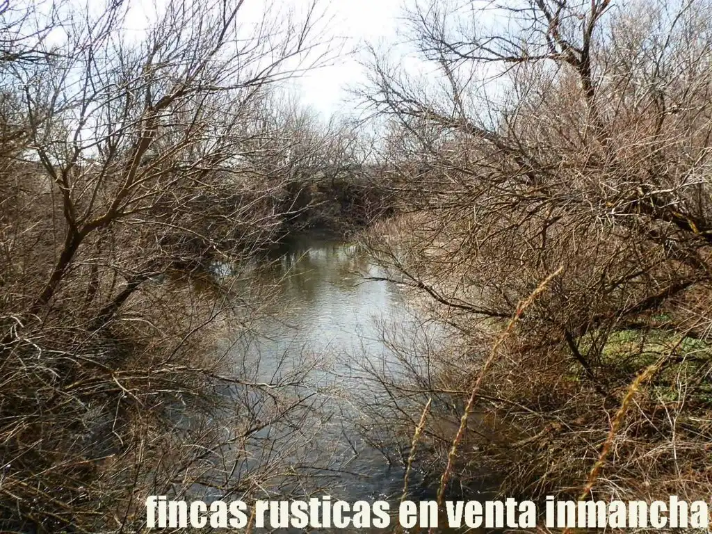 Rural land for sale in Madridejos, imagen 19