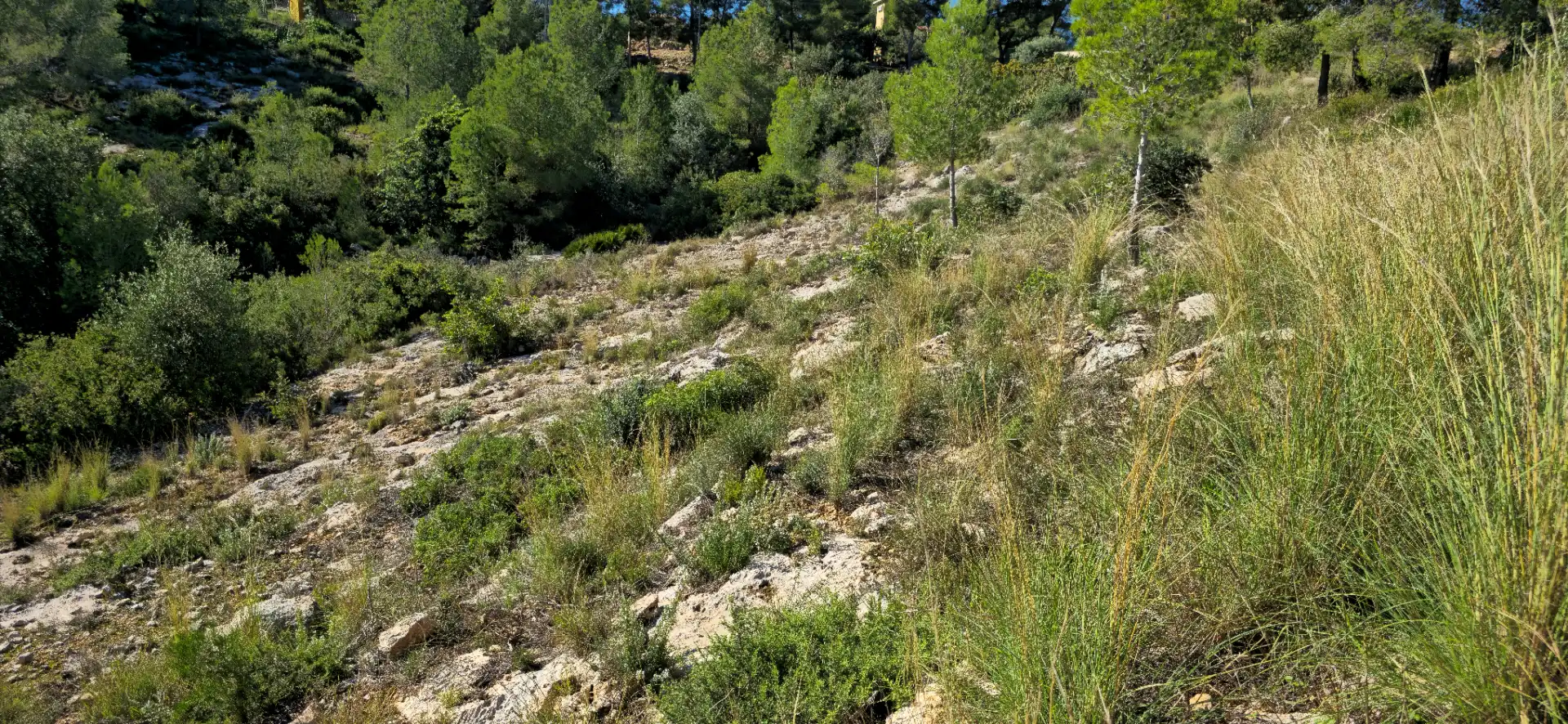 Wohnbaugrundstück zum Verkauf in Calle C/2 Lloma Molina 31, imagen 47