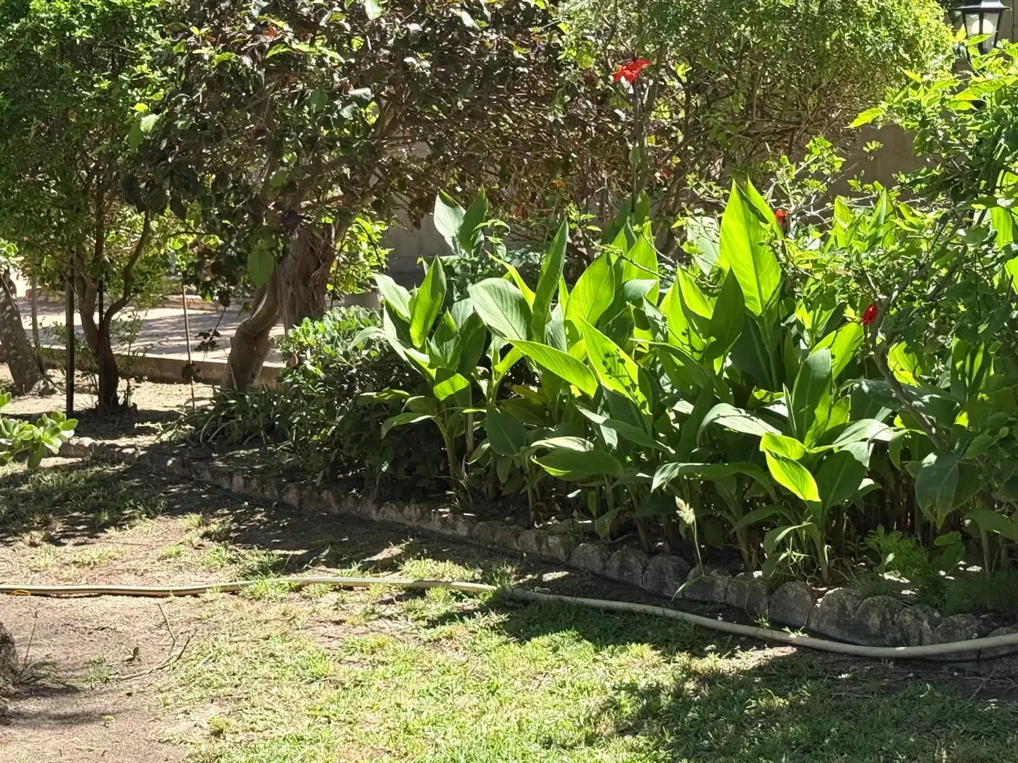 Jardí de Casa o xalet en venda en Chiclana de la Frontera