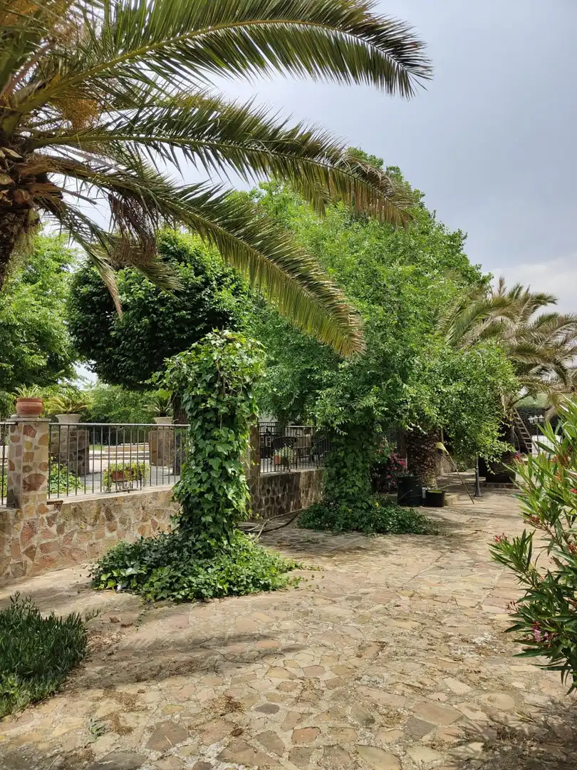 Jardín de Casa o chalet en venta en Brazatortas con Aire acondicionado, Calefacción y Jardín privado