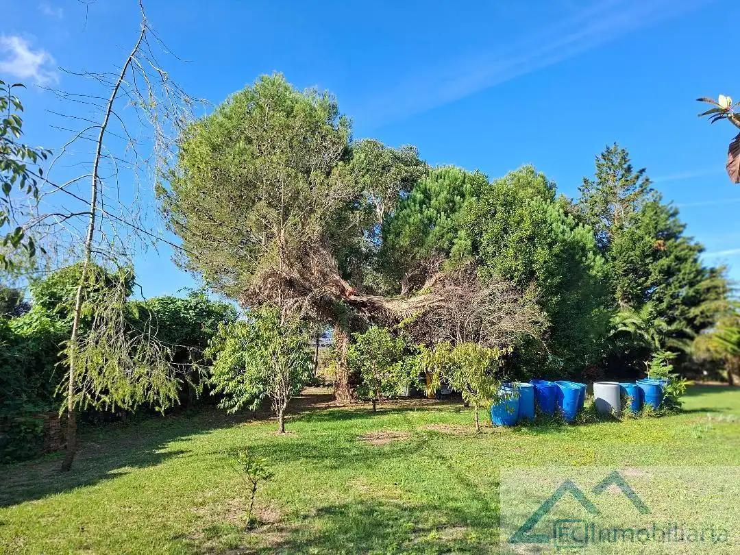 Terrenys i solars en venda a Regaton, imagen 5