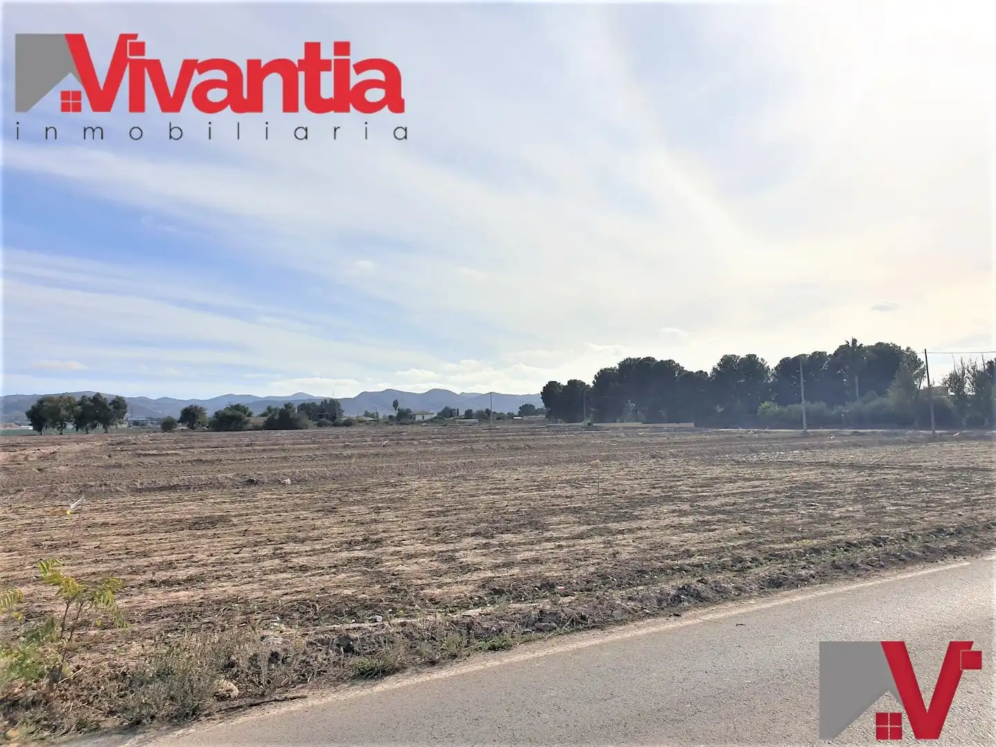 Terreni e lotti in vendita a Pedanías Sur, imagen 8