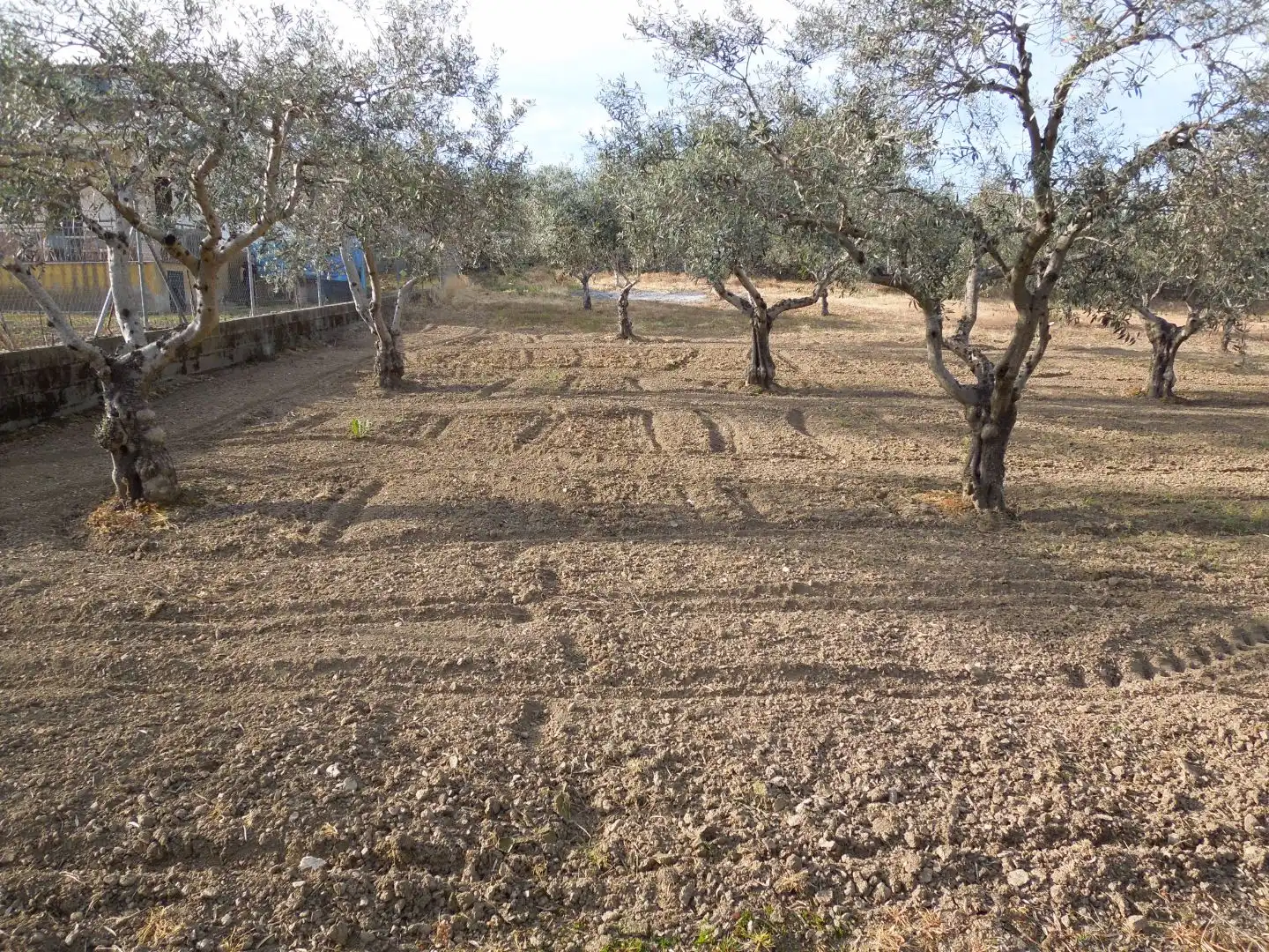 Terreno en venta en Malpartida de Plasencia