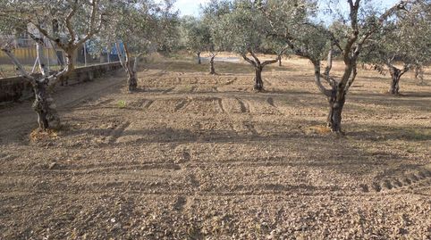 Foto 5 de Terreno en venta en Calle Escurridero, 39, Malpartida de Plasencia, Cáceres
