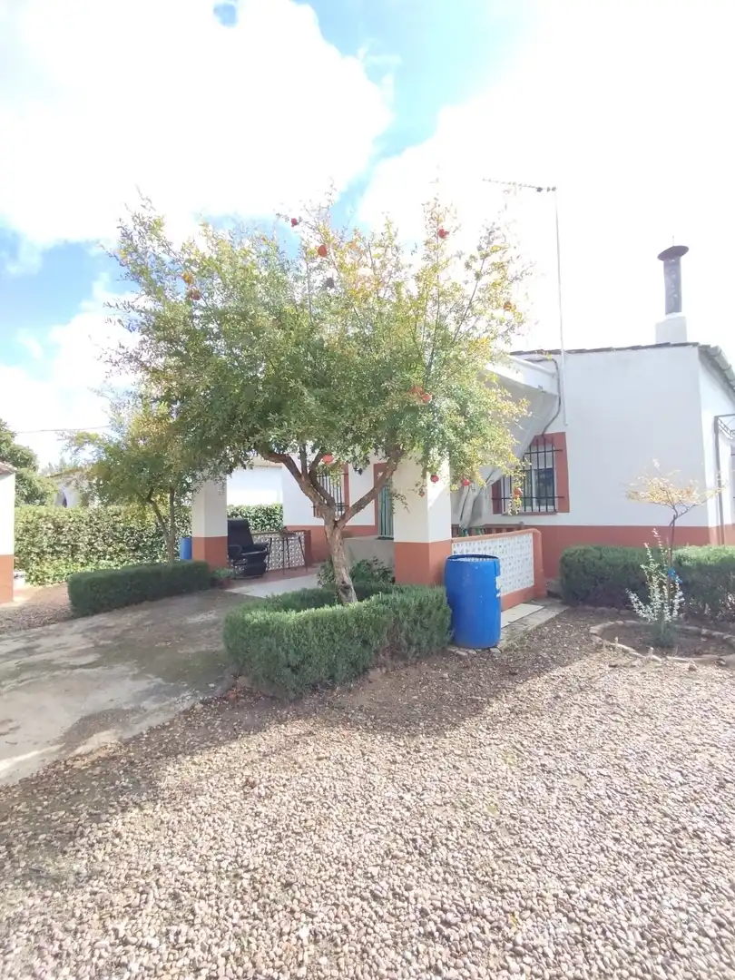 Vista exterior de Casa o chalet en venta en Valverde de Mérida con Trastero, Piscina y Amueblado