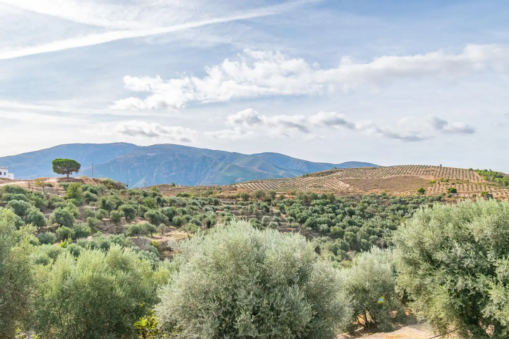 Country homes for sale in Órgiva