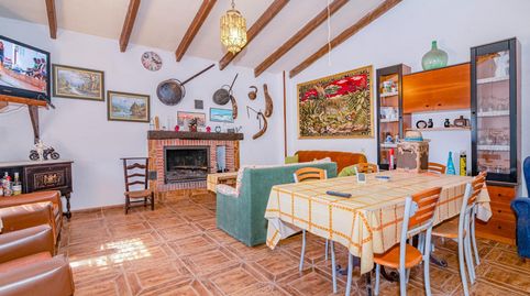 este es el lugar donde tus hijos recordarán haber tenido una infancia de verdad