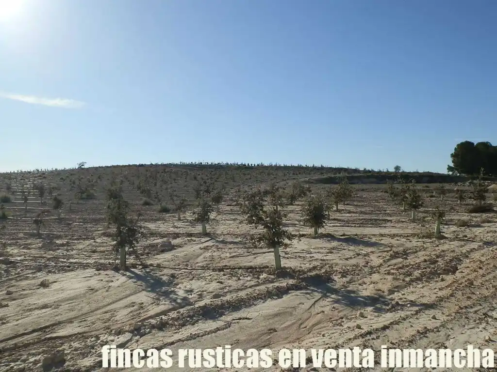 Rustikales Grundstück zum Verkauf in Jumilla, imagen 13