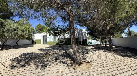 Foto 4 de Finca rústica en venta en El Pinar de Campoverde, Pilar de la Horadada