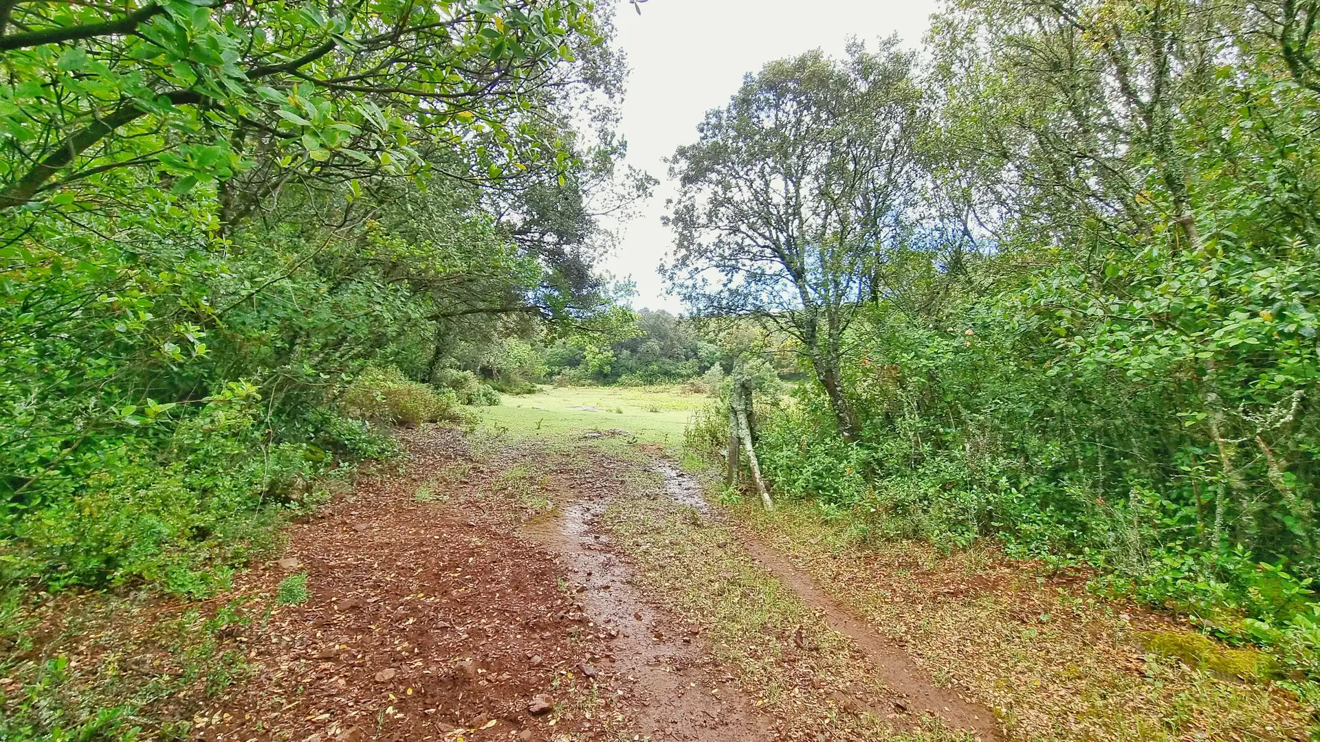Terreni e lotti in vendita a Castaño del Robledo, imagen 20