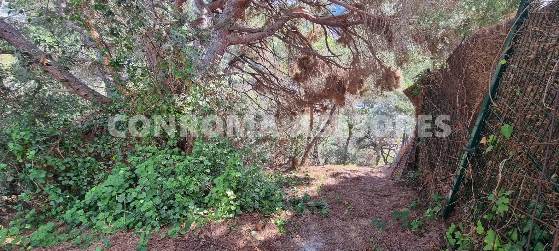 Residential land for sale in Canyelles, imagen 2
