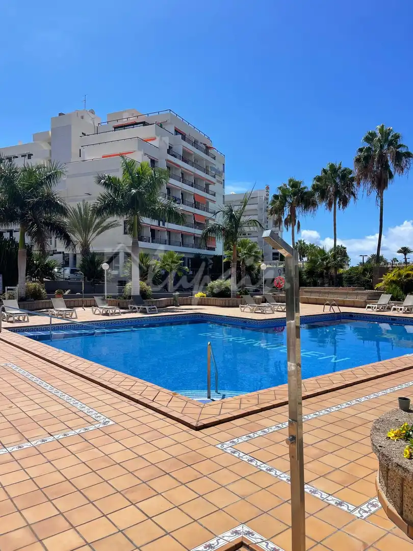 Studio à vendre à Playa de las Américas, imagen 9