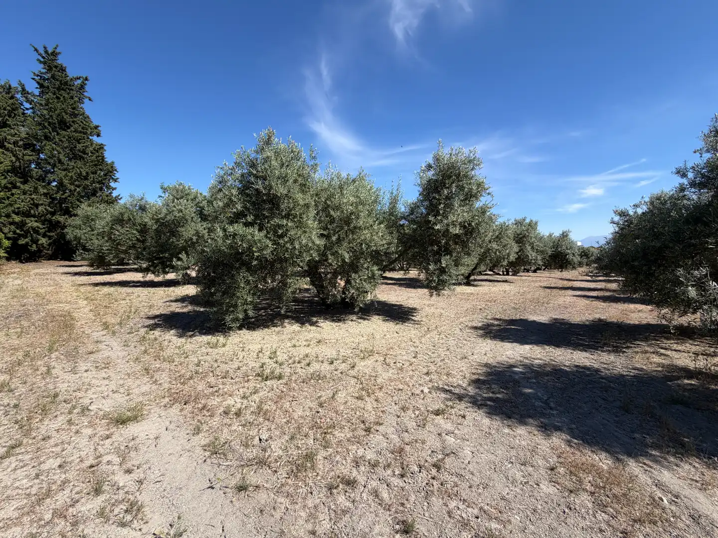 Terrenos y solares en venta en Carretera, imagen 13