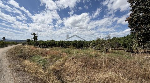 Photo 4 of Land for sale in Rafelguaraf, Valencia