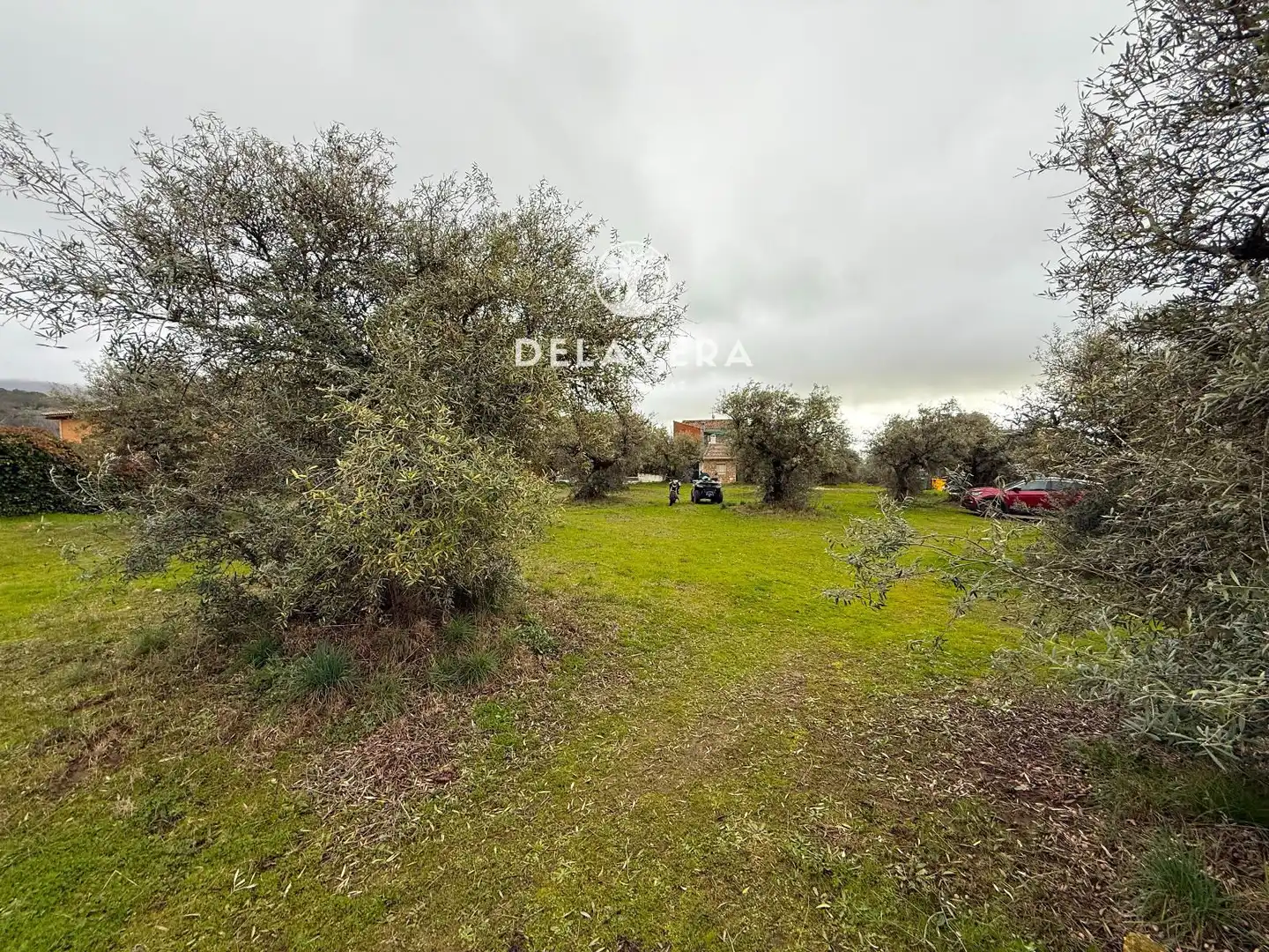 Land for sale in Candeleda