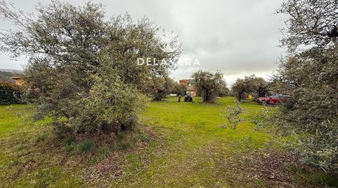 Photo 3 of Land for sale in Aliso, 5, Candeleda, Ávila