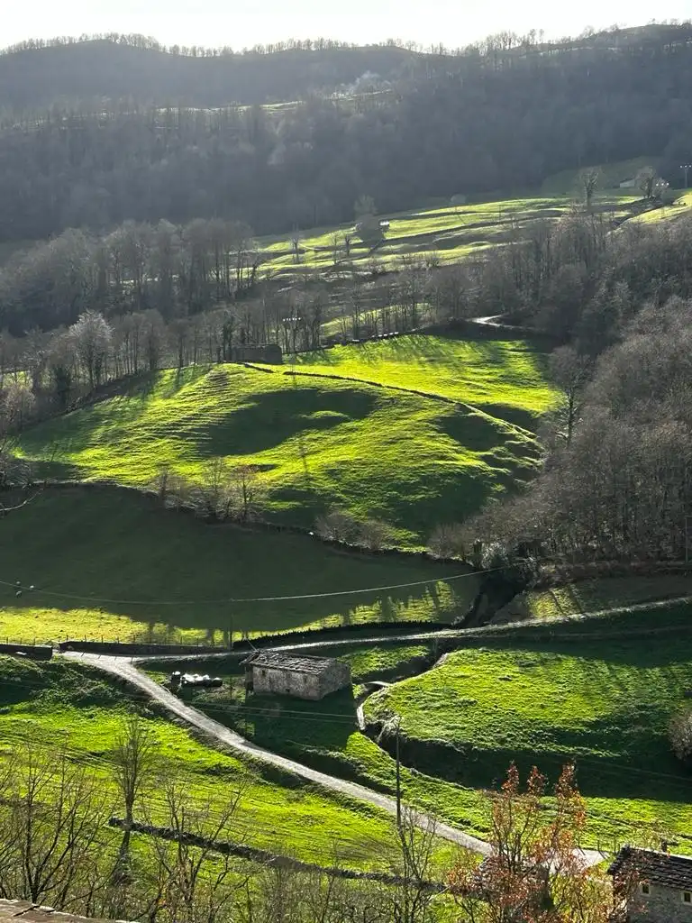 Vista exterior de Casa o xalet en venda en Vega de Pas amb Jardí privat