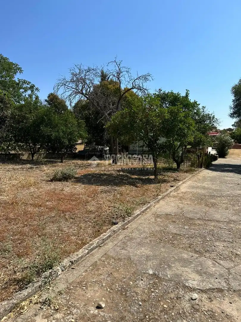 Flat for sale in Alcolea